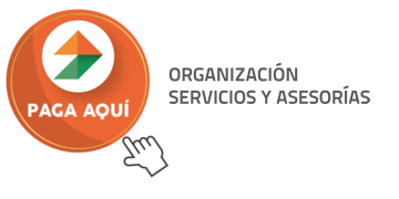 Servicios y Asesorías